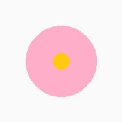 画像5: カリフォルニアデージー