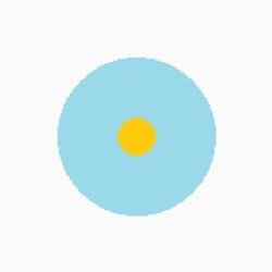 画像9: カリフォルニアデージー