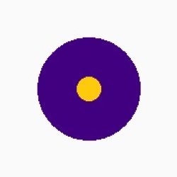 画像10: カリフォルニアデージー