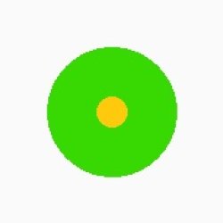 画像13: カリフォルニアデージー