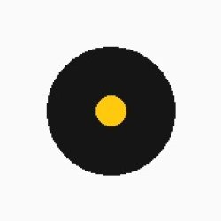 画像16: カリフォルニアデージー