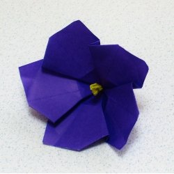 画像2: アリオギネ