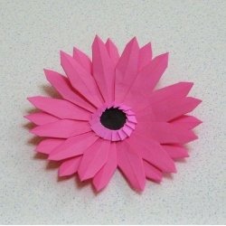 画像2: ガーベラ