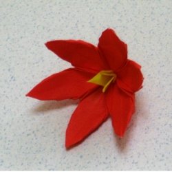 画像2: ゲイソリザA