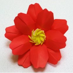 画像2: サザンカ