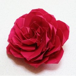 画像2: シャクヤク