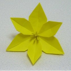 画像2: チューリップ　E