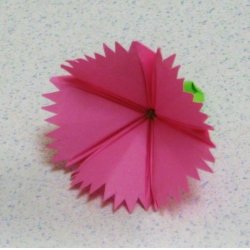 画像2: ナデシコ