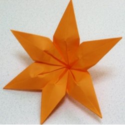 画像2: ノカンゾウ