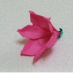 画像2: フリージア