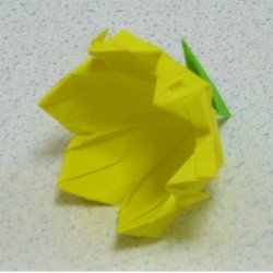 画像2: へスペランサ