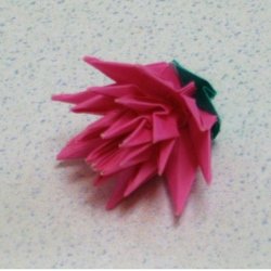 画像2: キセランセマム