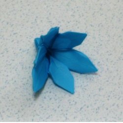 画像2: ハナニラ