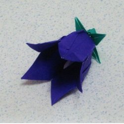 画像2: ヤツシロソウ