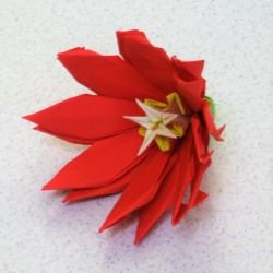 画像2: イースターカクタス