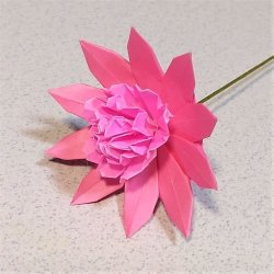 画像2: アストランティア