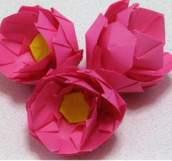 ハス 造花インテリア 立体折り紙のギフト 通販なら 折り花工房 時