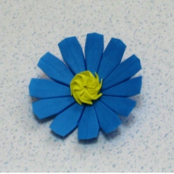 画像2: ブルーデージー